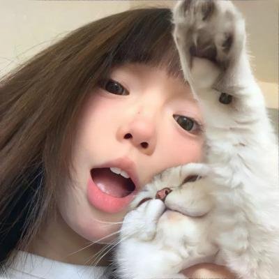 井